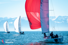 2024-DCC-Bodensee-DSC_0866-LR1920